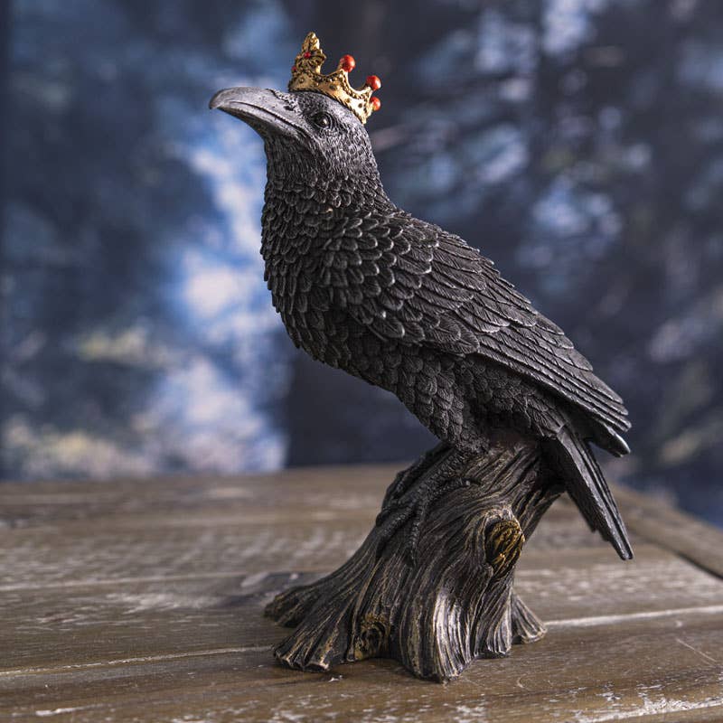 Crowned Raven