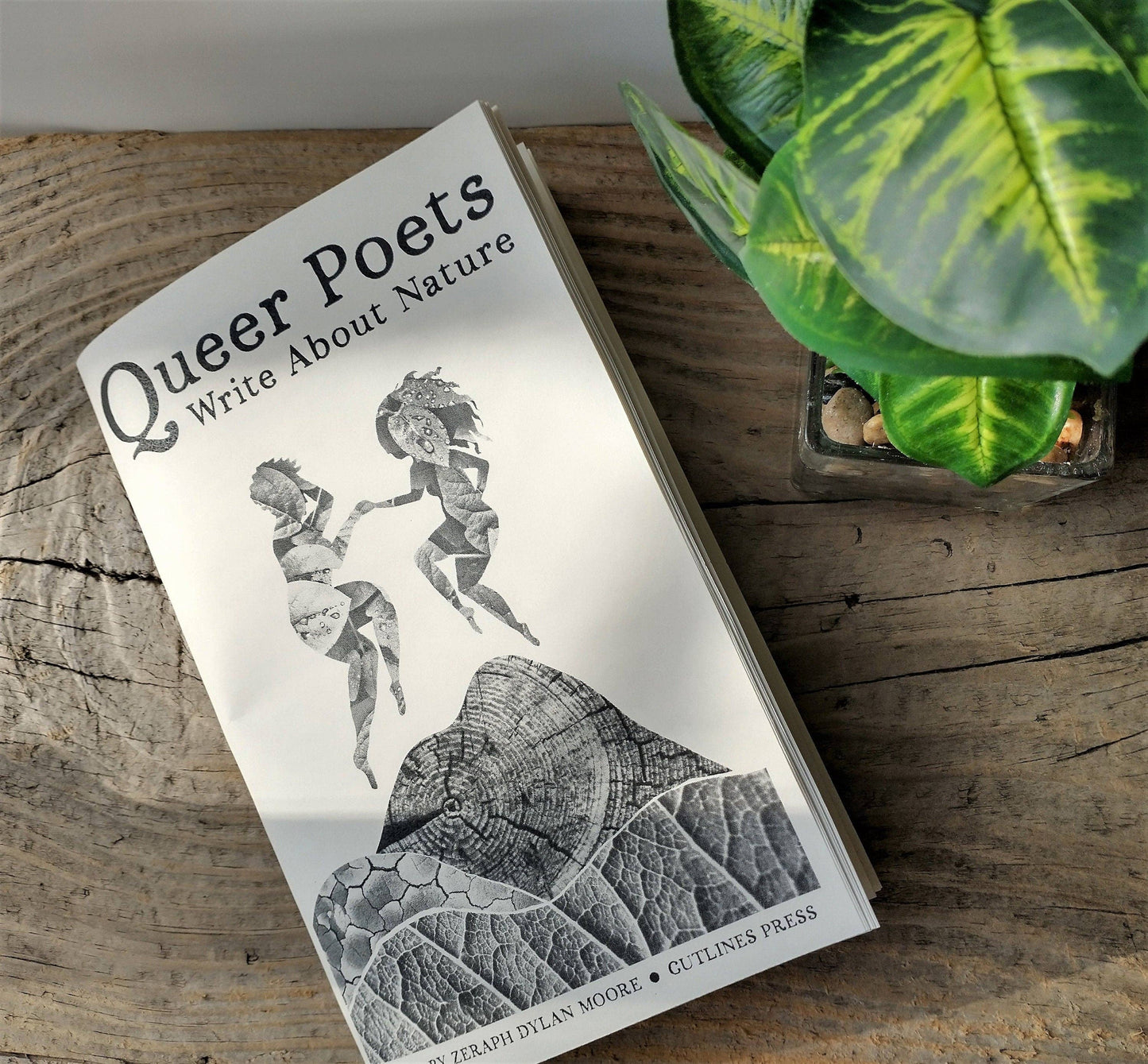 Queer Poets Write About Nature - Poetry Zine Chapbook