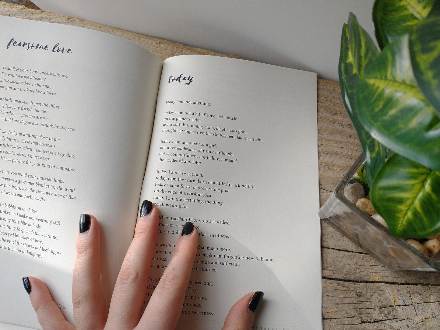 Queer Poets Write About Nature - Poetry Zine Chapbook