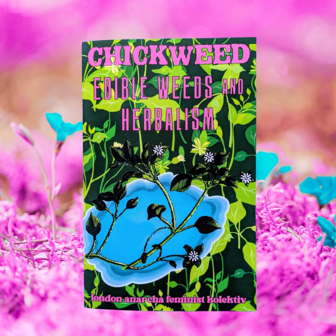 Chickweed: Edible Weeds and Herbalism