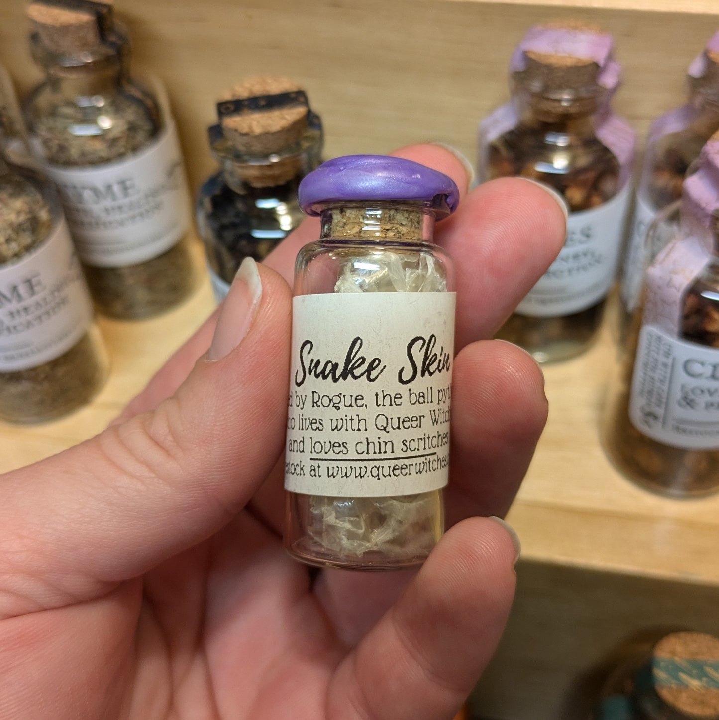 Snake Shed in a Jar