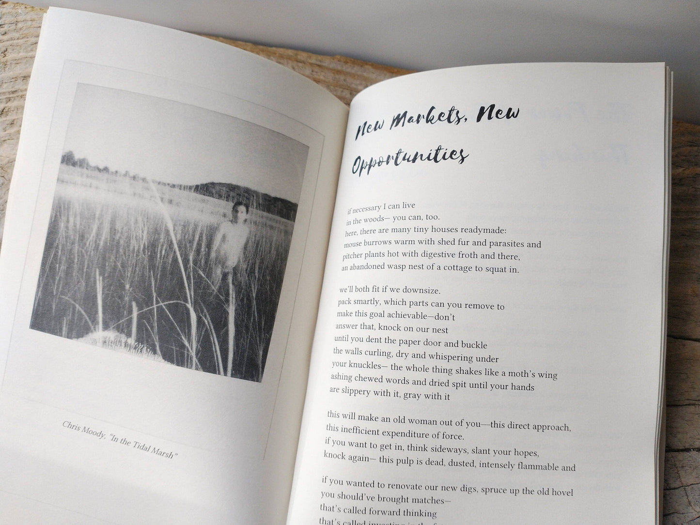 Queer Poets Write About Nature - Poetry Zine Chapbook