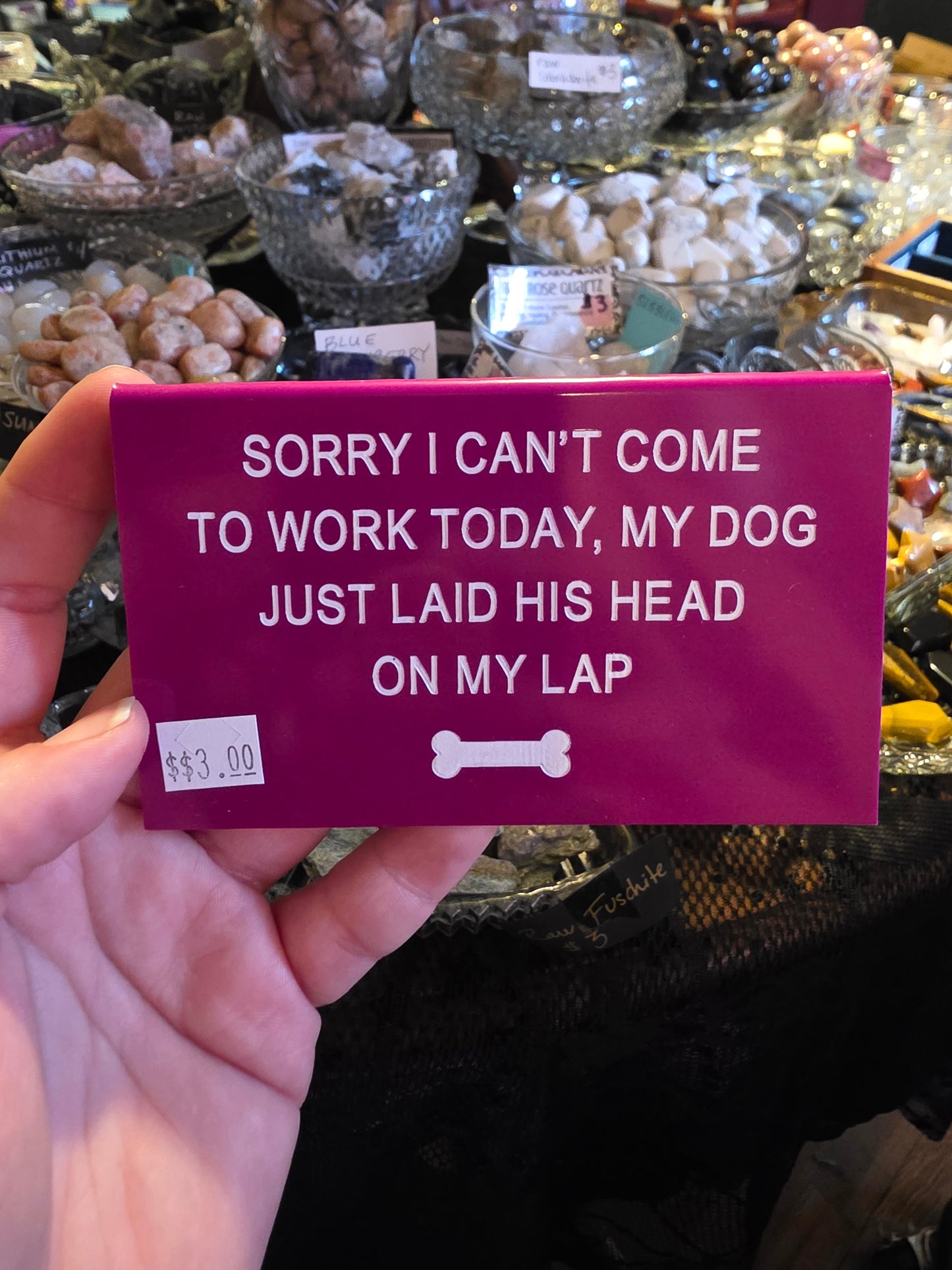Sorry I Can't - Dog Desk Sign