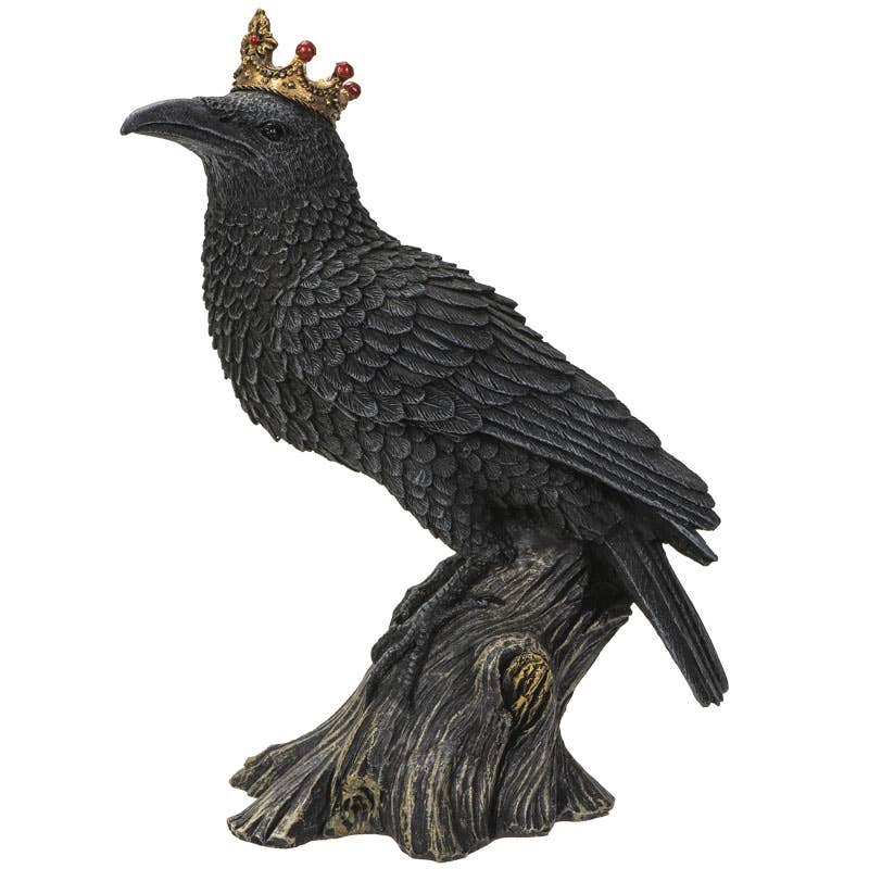 Crowned Raven