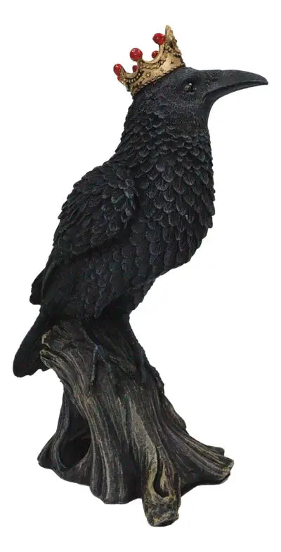 Crowned Raven