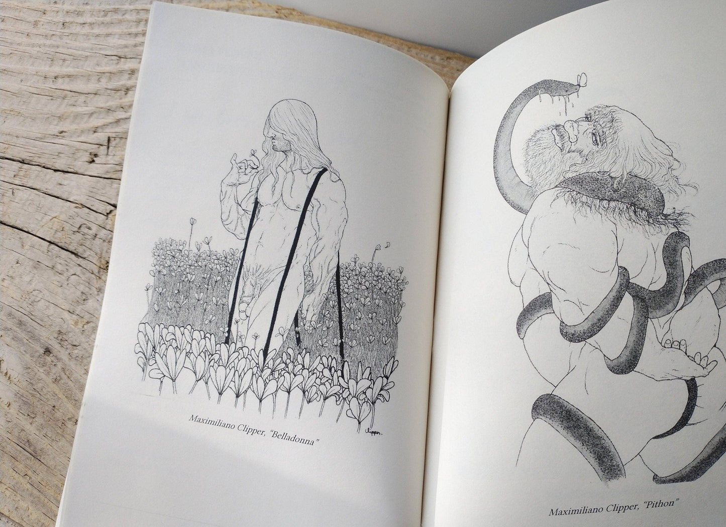 Queer Poets Write About Nature - Poetry Zine Chapbook