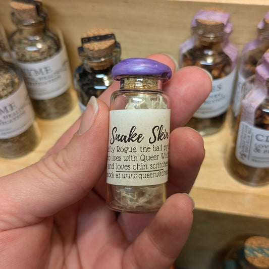 Snake Shed in a Jar