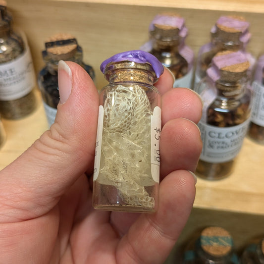 Snake Shed in a Jar
