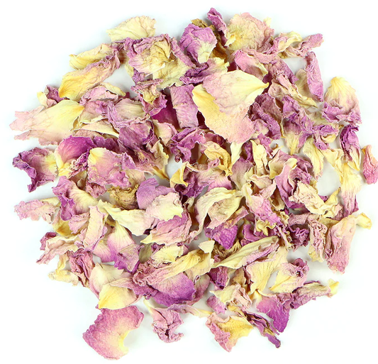 Pink Rose Petal