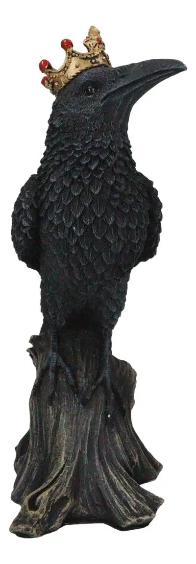 Crowned Raven