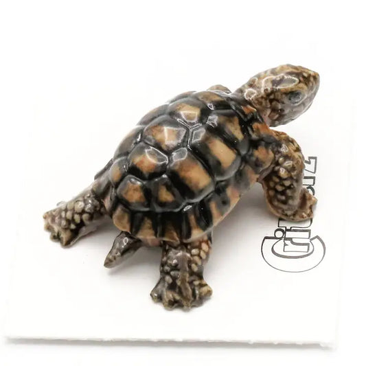 Joshua Desert Tortoise Porcelain Miniature