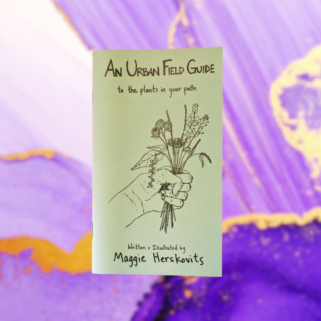 An Urban Field Guide to the Plants in Your Path Zine